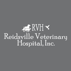 Registered Veterinary Technician - Careers At Reidsville Veterinary ...